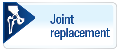 Reemplazo Articular